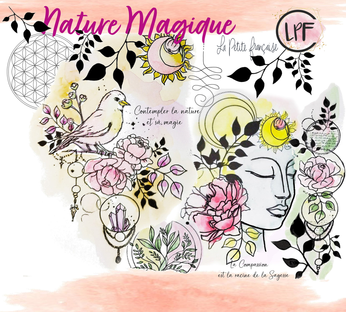 Pack Collection Nature magique