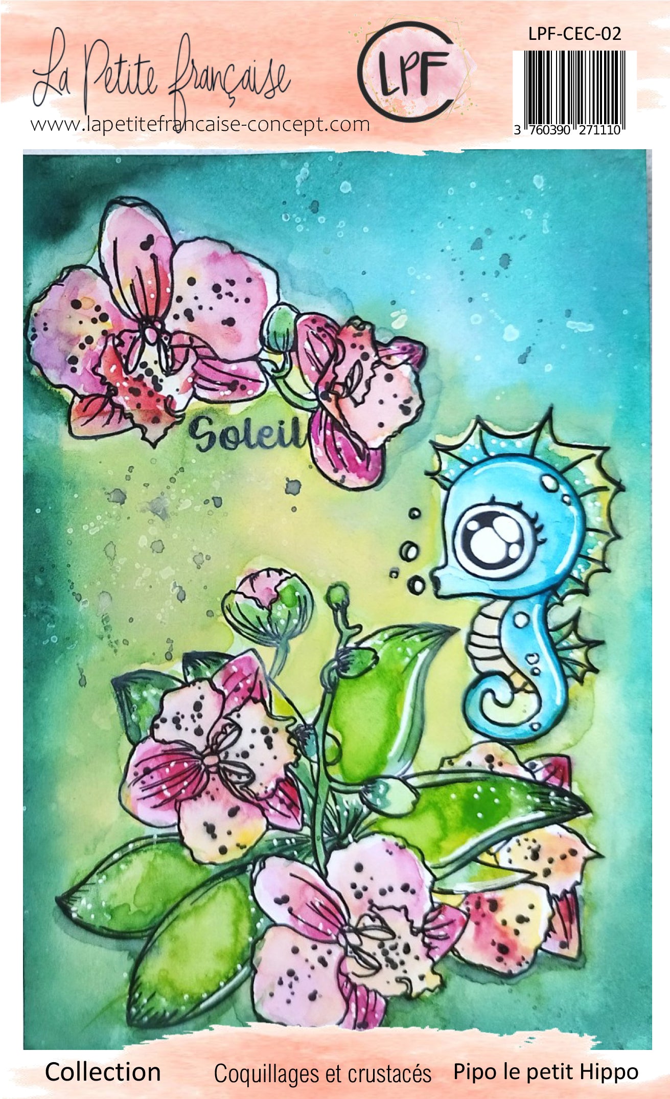 Pack collection Coquillages et crustacés 2