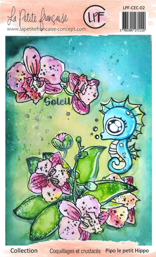 Tampons clear: collection Coquillages et crustacés: Pipo le petit hypo