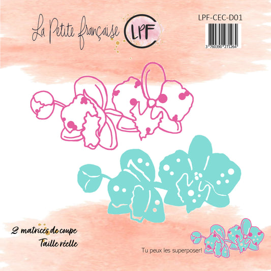 Dies Collection Coquillages et crustacés D01