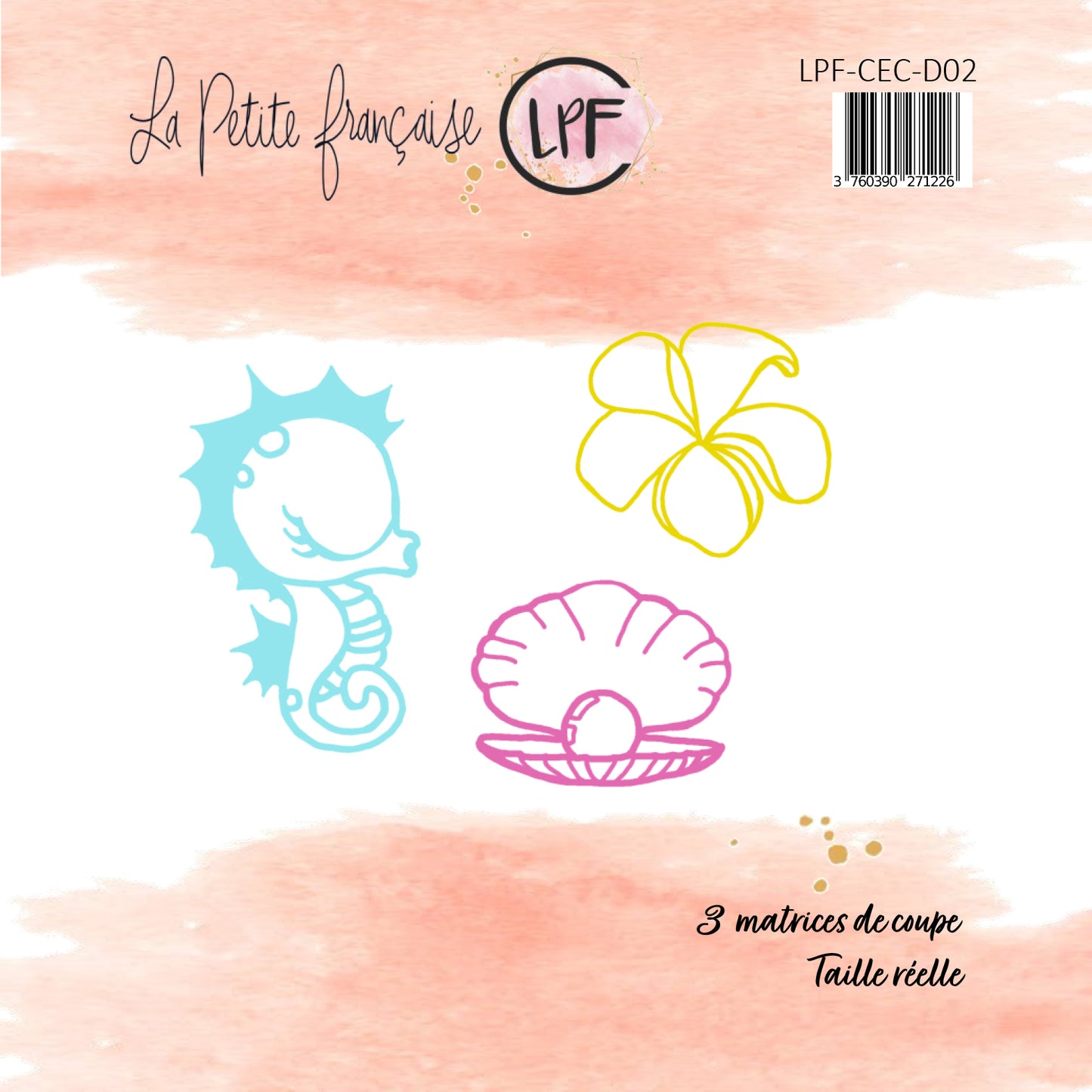 Pack collection Coquillages et crustacés 2