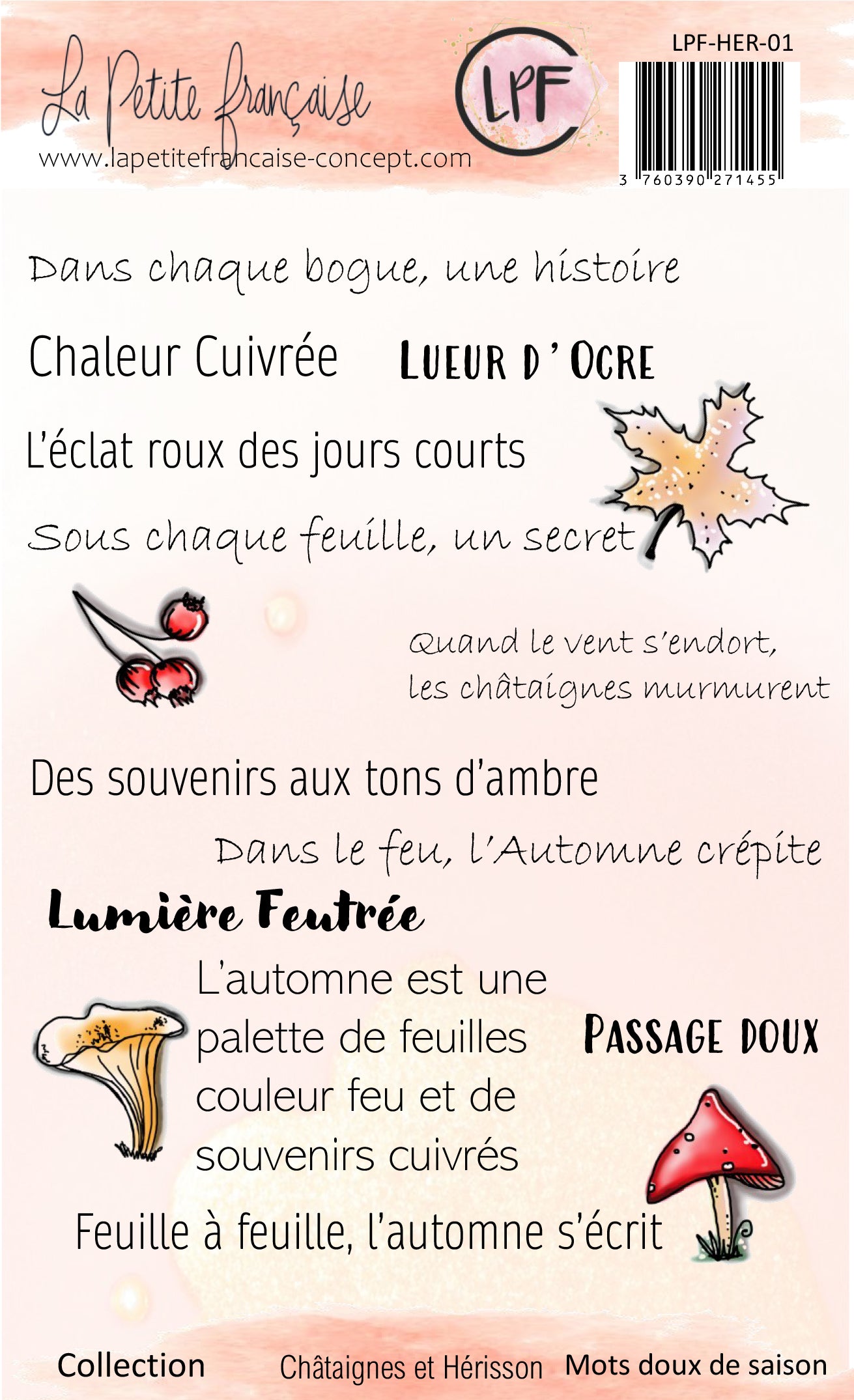 Tampons clear: collection Châtaignes et hérisson: Mots doux de saison