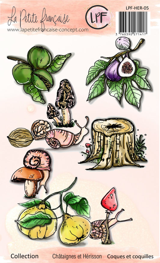 Tampons clear: collection Châtaignes et hérisson: Coques et coquilles