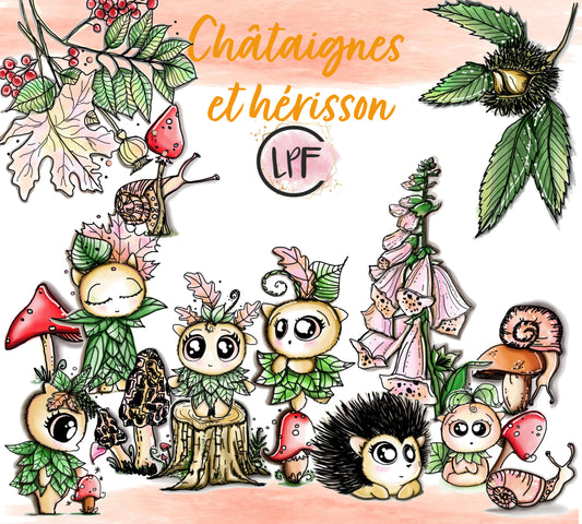 pack collection Châtaignes et hérisson