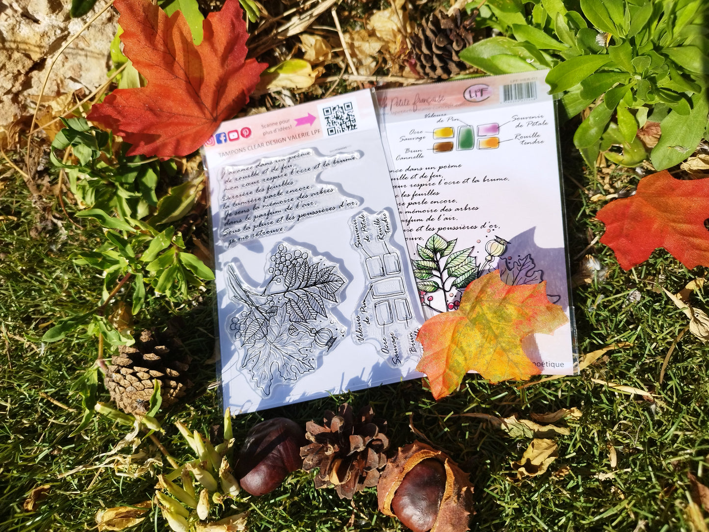 Tampons clear: collection Châtaignes et hérisson: Automne poétique