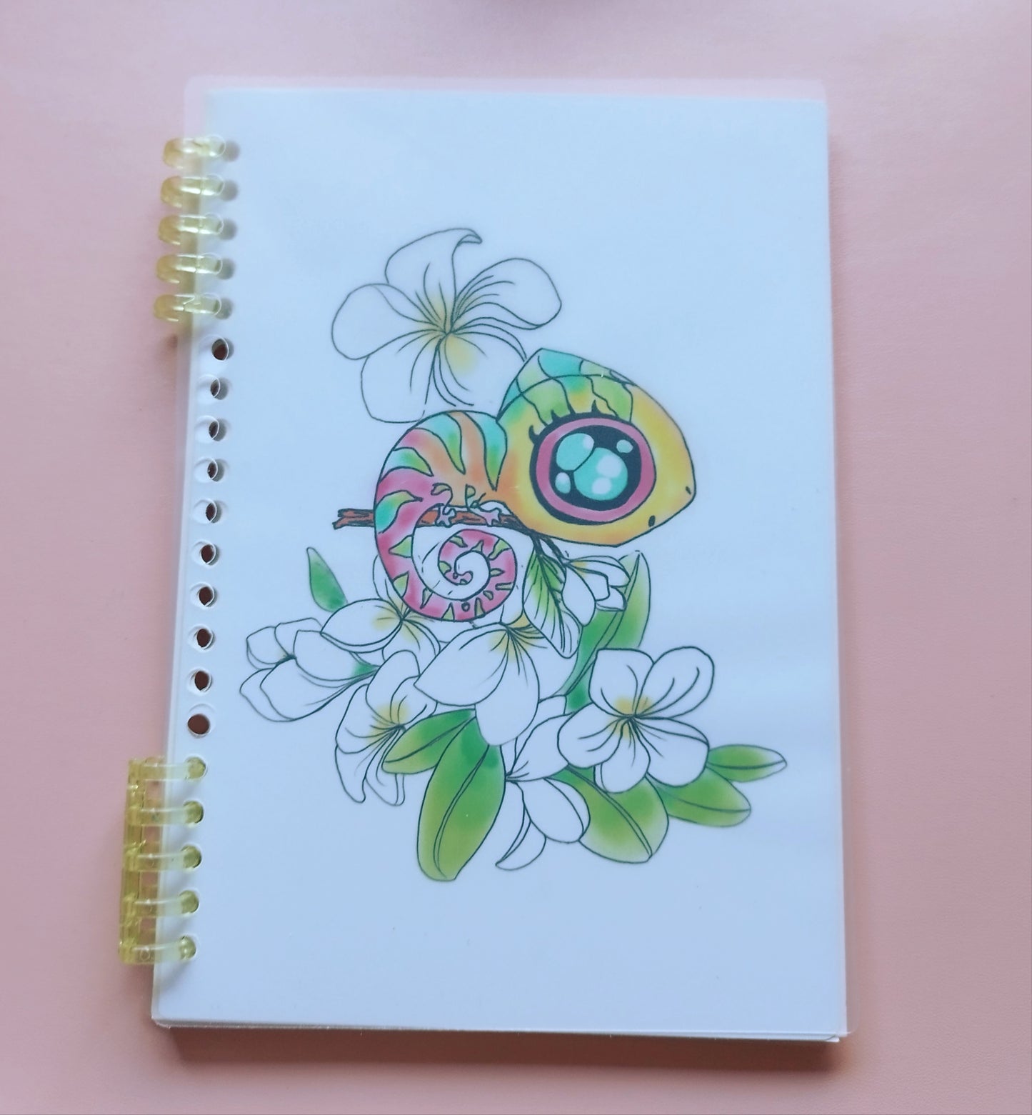 carnets de notes-divers modèles au choix