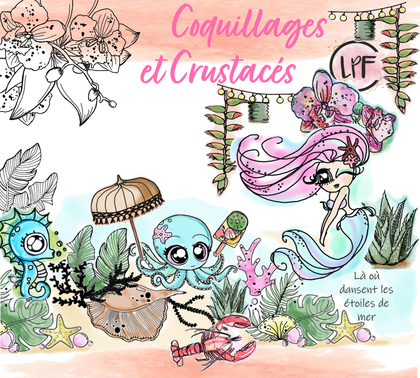 Pack collection Coquillages et crustacés 2