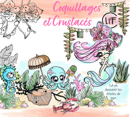 Pack collection Coquillages et crustacés 2
