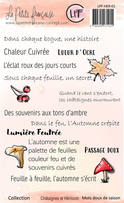 pack collection Châtaignes et hérisson