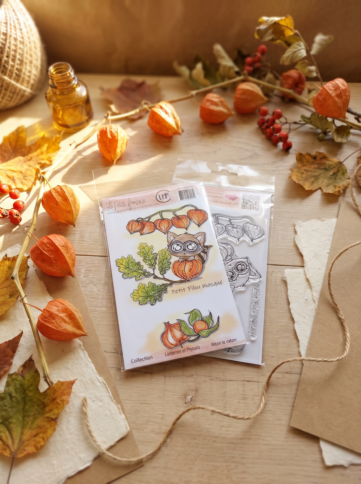 Planche de tampons clear A6 - Riton le raton - Collection Lanternes et Physalis