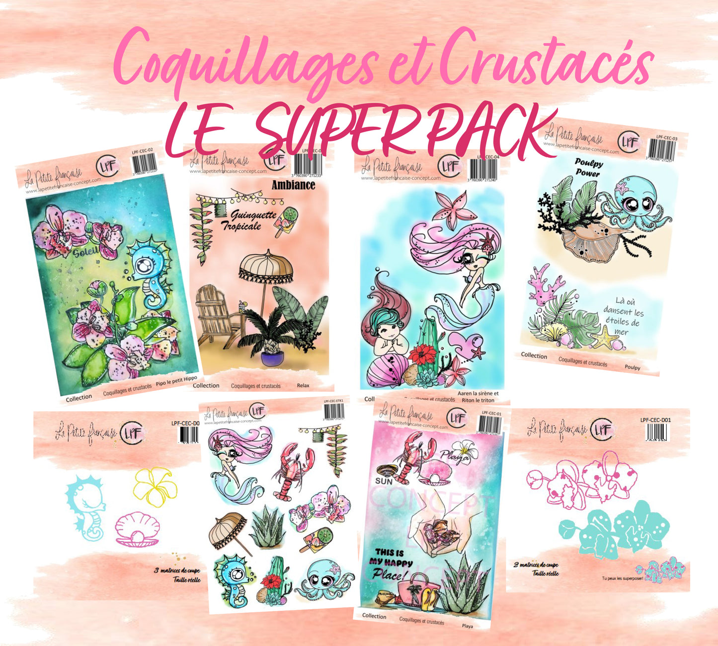 Pack collection Coquillages et crustacés 2